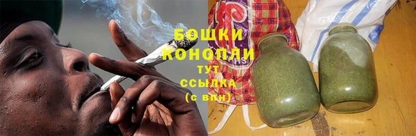 apvp Бикин